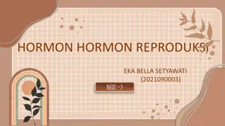 Understanding Reproductive Hormones in Males and Females