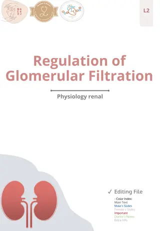 Regulation of Glomerular Filtration and GFR Physiology Overview