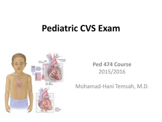 Pediatric Cardiovascular Exam Overview