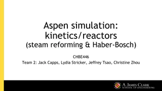 Aspen Simulation of Steam Reforming and Haber-Bosch Processes in Kinetics Reactors