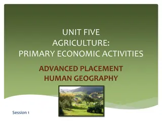 Economic Activities and Sectors Overview in Human Geography