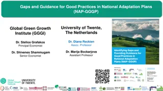 Gaps and Guidance for National Adaptation Plans (NAP-GGGP)