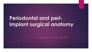 Periodontal and Peri-Implant Surgical Anatomy Overview