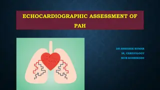 Echocardiographic Assessment of Pulmonary Arterial Hypertension (PAH) Overview