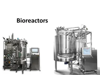 Understanding Bioreactors: Components and Functions