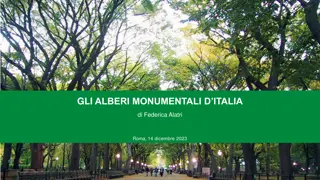 Monumental Trees of Italy - A Natural Legacy of Grandeur and Cultural Significance