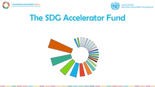 The SDG Accelerator Fund