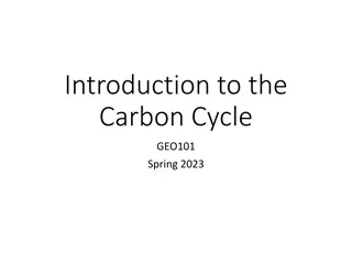 Understanding the Carbon Cycle: Reservoirs, Dynamics, and Importance