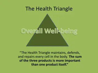 Understanding the Health Triangle for Overall Well-being