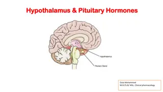 Understanding Hypothalamus and Pituitary Hormones in Clinical Pharmacology