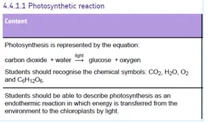 Understanding Photosynthesis and Limiting Factors