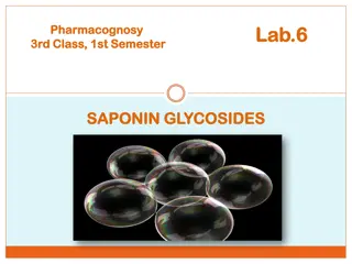 Understanding Saponin Glycosides in Pharmacognosy: Properties and Applications