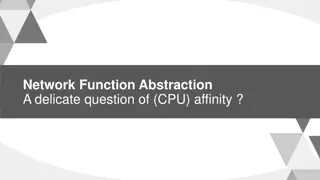 Network Function Abstraction  A delicate question of (CPU) affinity?