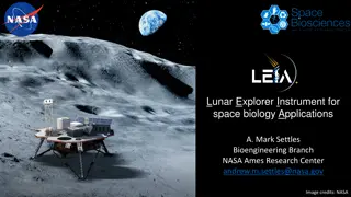 Exploring Lunar Surface Radiation Risks and Mitigations Using Bioengineering