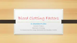 Understanding Blood Clotting Factors in the Human Body