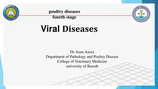 Understanding Viral Diseases in Poultry: Newcastle Disease and Avian Influenza