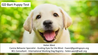 GD Bart Puppy Test: Behavior Scoring System Overview