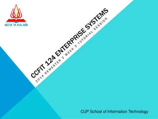CCFIT 124 Enterprise Systems