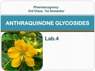 Understanding Anthraquinone Glycosides: Pharmacognosy Insights