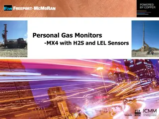 Understanding LEL Monitors and Gas Safety in Industrial Settings