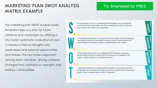 Marketing Plan SWOT Analysis Matrix Example