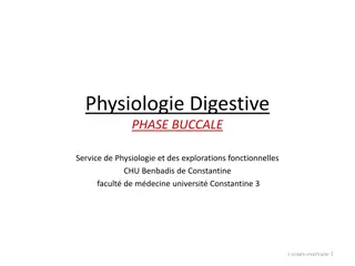 Physiologie Digestive  PHASE BUCCALE