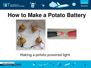 How to Make a Potato Battery for Lighting an LED Bulb