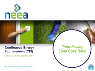 Continuous Energy Improvement (CEI)