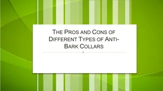 The Pros and Cons of Different Types of Anti-Bark Collars