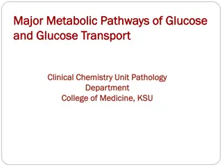 Overview of Glucose Metabolic Pathways in Clinical Chemistry