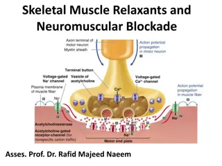 Skeletal Muscle Relaxants and Neuromuscular Blockade