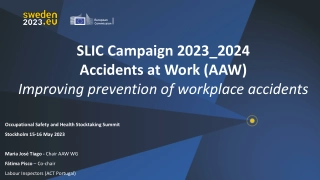 SLIC Campaign 2023_2024 Accidents at Work (AAW)