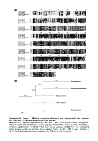 Phylogenetic Analysis of Enzyme Sequences in Plant Species