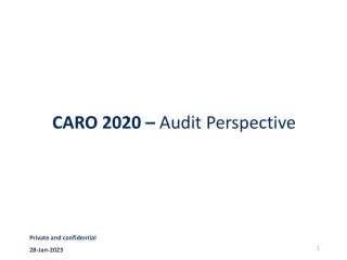 CARO 2020 - Audit Perspective