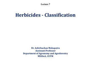 Overview of Herbicides Classification and Groups