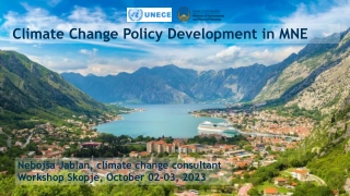 Climate Change Policy Development in MNE