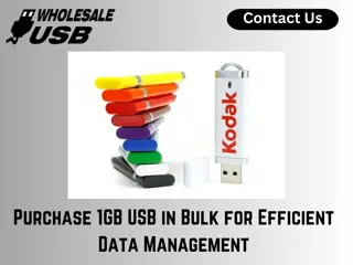 Purchase 1GB USB in Bulk for Efficient Data Management