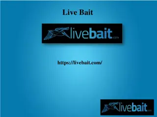 Best 8 Foot Cast Fishing Net, livebait