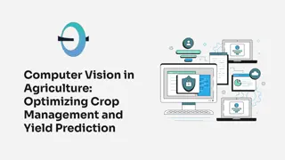 Computer Vision in Agriculture: Optimizing Crop Management and Yield Prediction