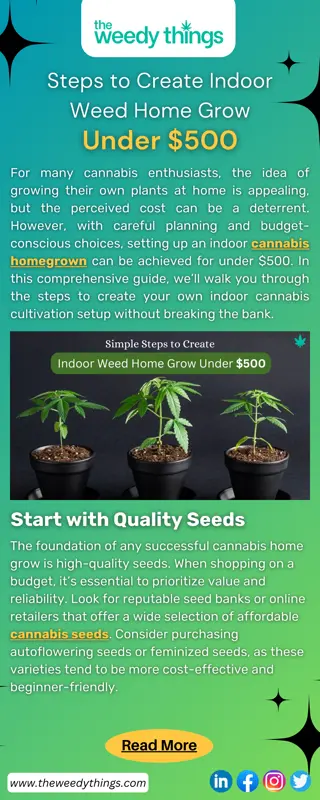 Steps to Create Indoor Weed Home Grow Under $500