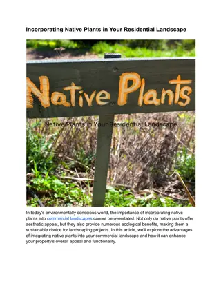 Incorporating Native Plants in Your Residential Landscape