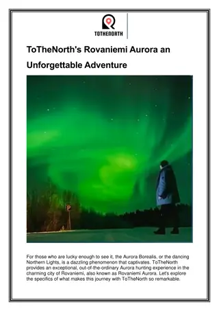 ToTheNorth's Rovaniemi Aurora an Unforgettable Adventure