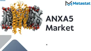 ANXA5 Market Analysis, Size, Share, Growth, Trends Forecasts 2023-2030
