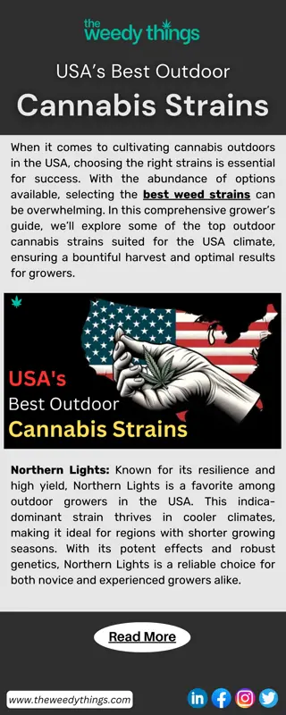 USA’s Best Outdoor Cannabis Strains
