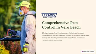 Comprehensive-Pest-Control-in-Vero-Beach