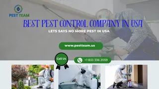 Best Pest control Company In USA