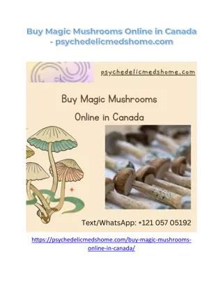 Buy Magic Mushrooms Online in Canada - psychedelicmedshome.com