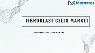 Fibroblast Cells Market Analysis, Size, Share, Growth, Trends Forecasts 2023-203