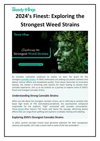 2024’s Finest: Exploring the Strongest Weed Strains