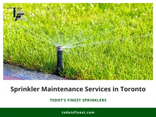 Sprinkler Maintenance Services in Toronto | Tedot's Finest Sprinklers